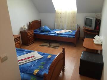 Фото номера Двухместный номер с 1 кроватью и собственной ванной комнатой Мотели Motel Gela г. Inoc 3